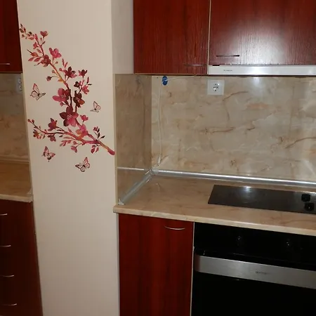 דירה Andreana's Place וארנה
